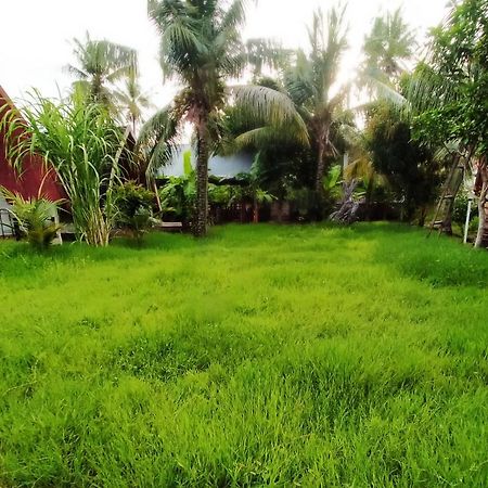 Hotel Coconut Gili Meno Zewnętrze zdjęcie