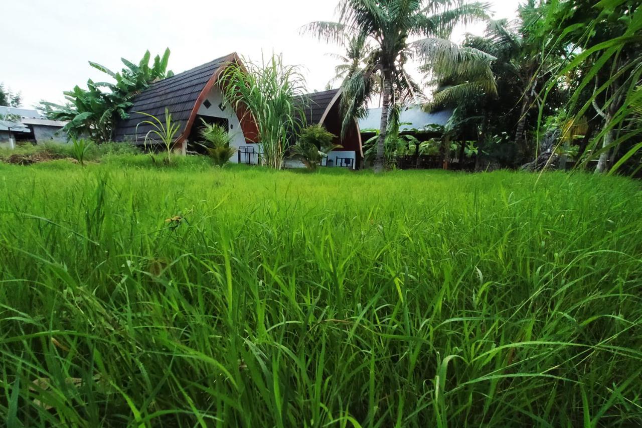 Hotel Coconut Gili Meno Zewnętrze zdjęcie
